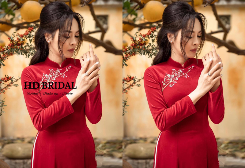 Các mẫu áo dài đẹp sang trọng hiện đại